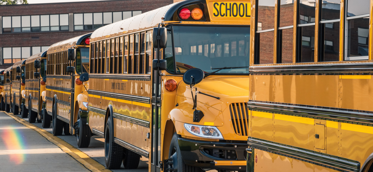 Stock image of school buses