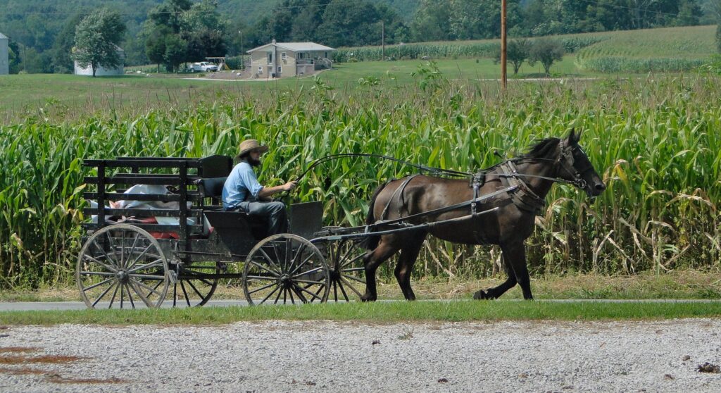 The Amish in Indiana State Affairs Pro Indiana