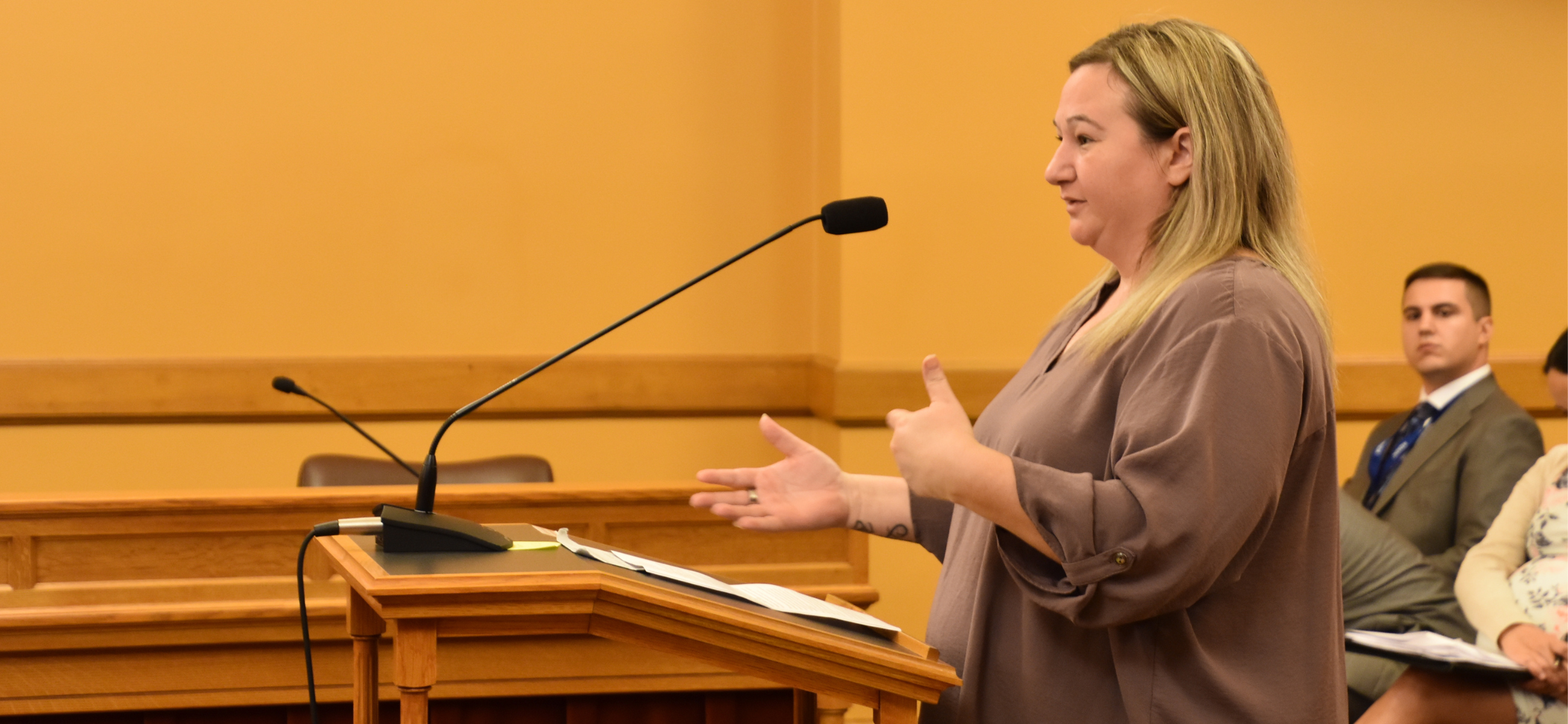 Amanda VanVlack speaks Thursday to the Joint Committee on Special Claims Against the State.