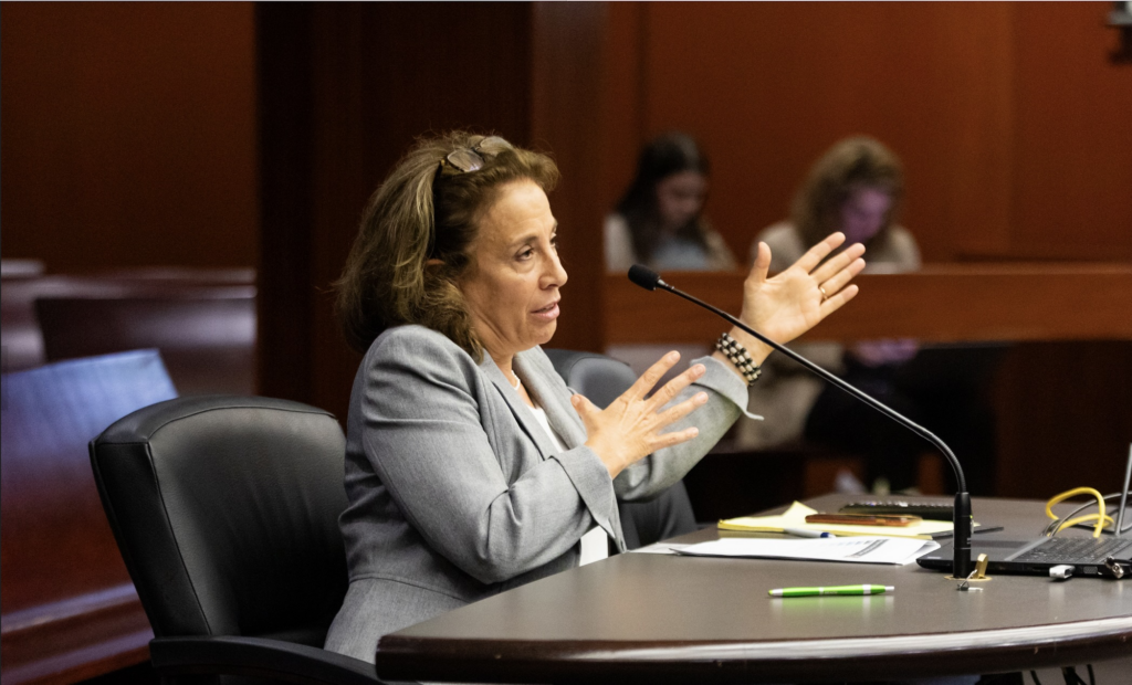 Darlene Lynch, chair of the Business & Immigration for Georgia Partnership, testified at the Senate Occupational Licensing study committee meeting on Sept. 27, 2023.