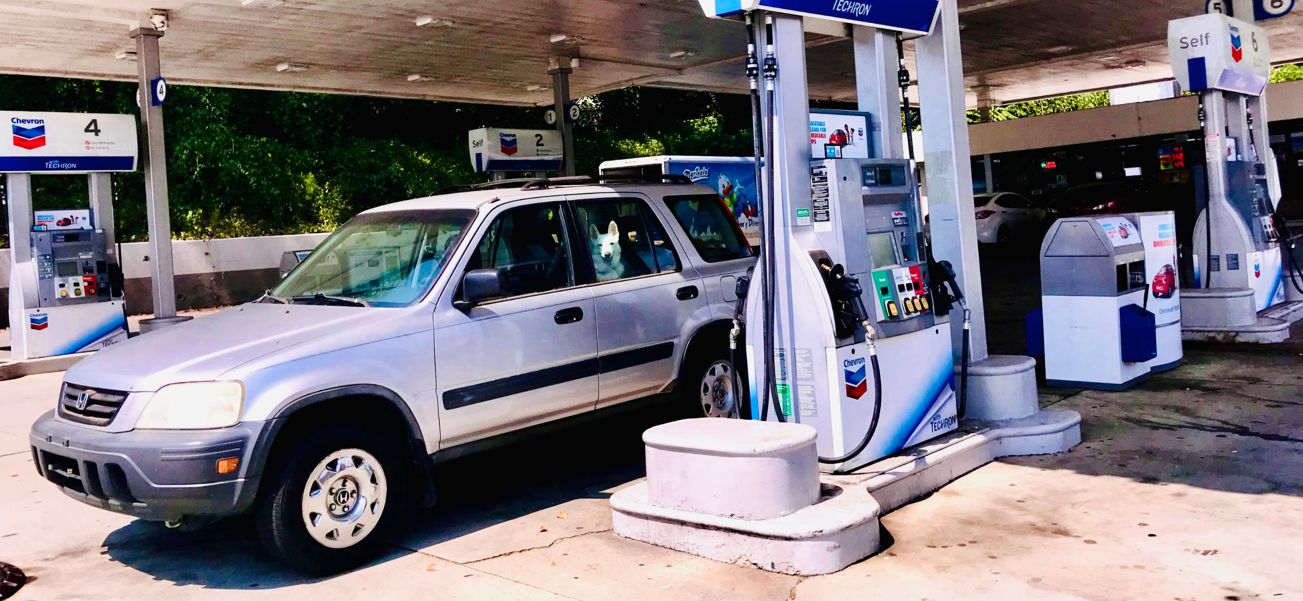 Gov. Kemp’s executive order to suspend fuel taxes will save Georgians 31 cents on a gallon of regular gasoline and 35 cents on diesel fuel through mid-October. (Credit: Jill Jordan Sieder).