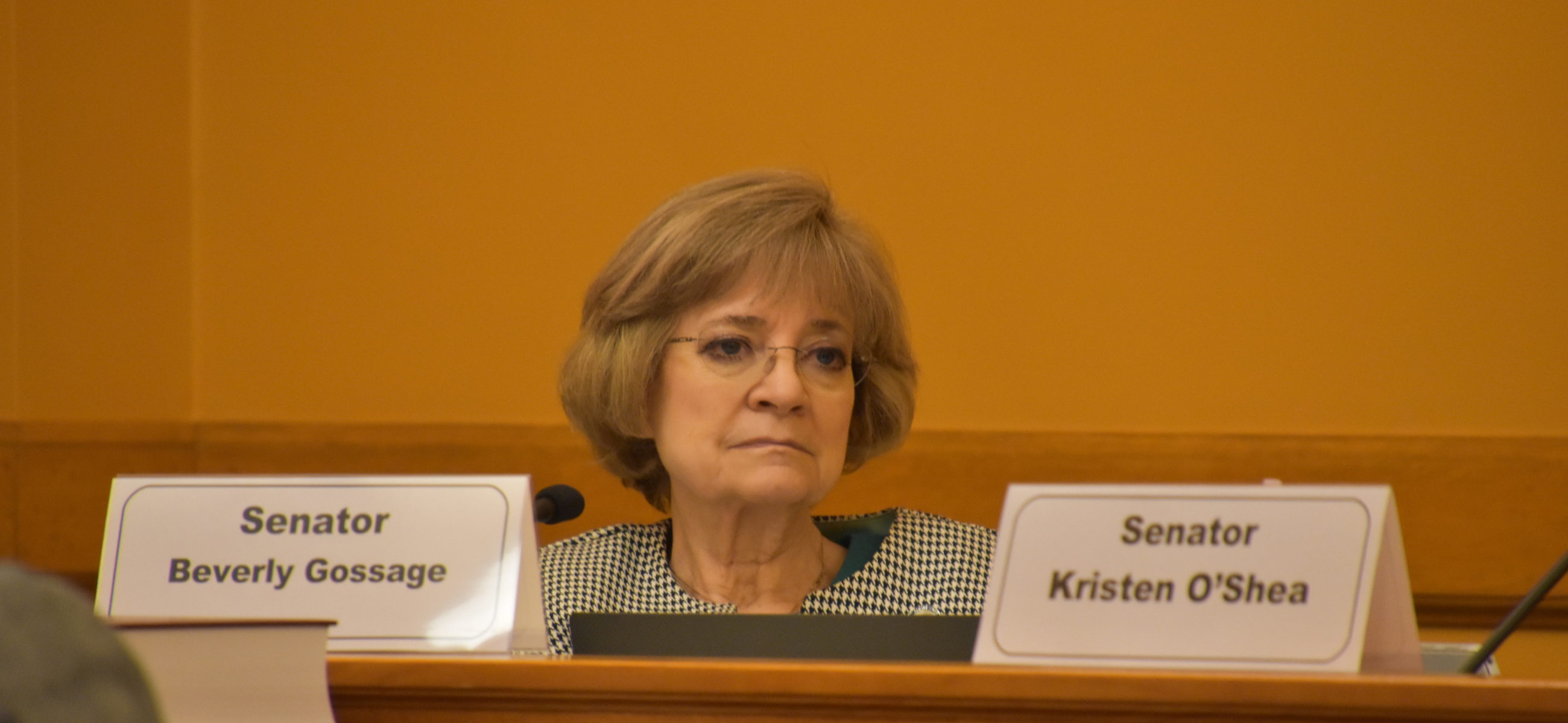 Sen. Beverly Gossage listens during an a committee meeting in September.
