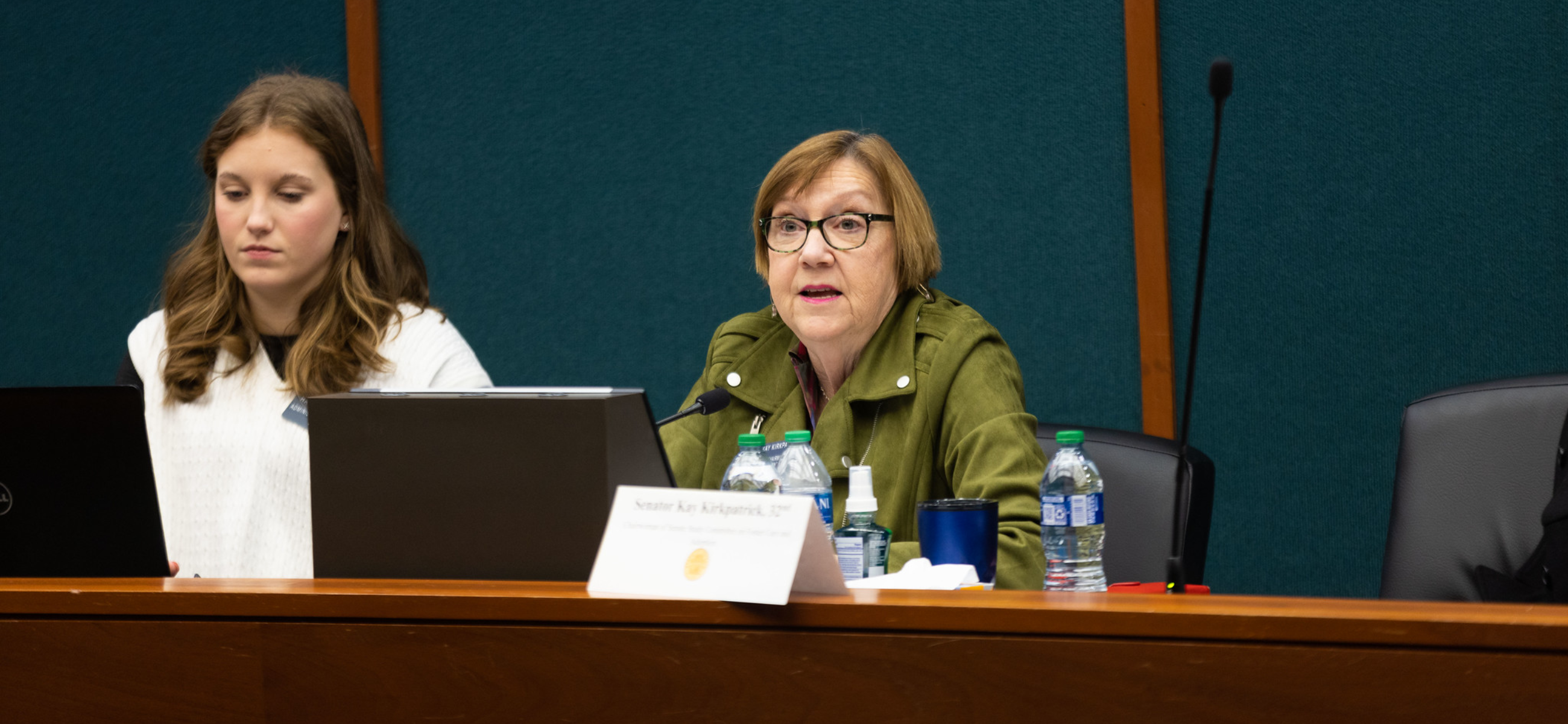 Kay Kirkpatrick chairs the Senate Study Committee on Foster Care and Adoption. (Credit: Georgia Senate)