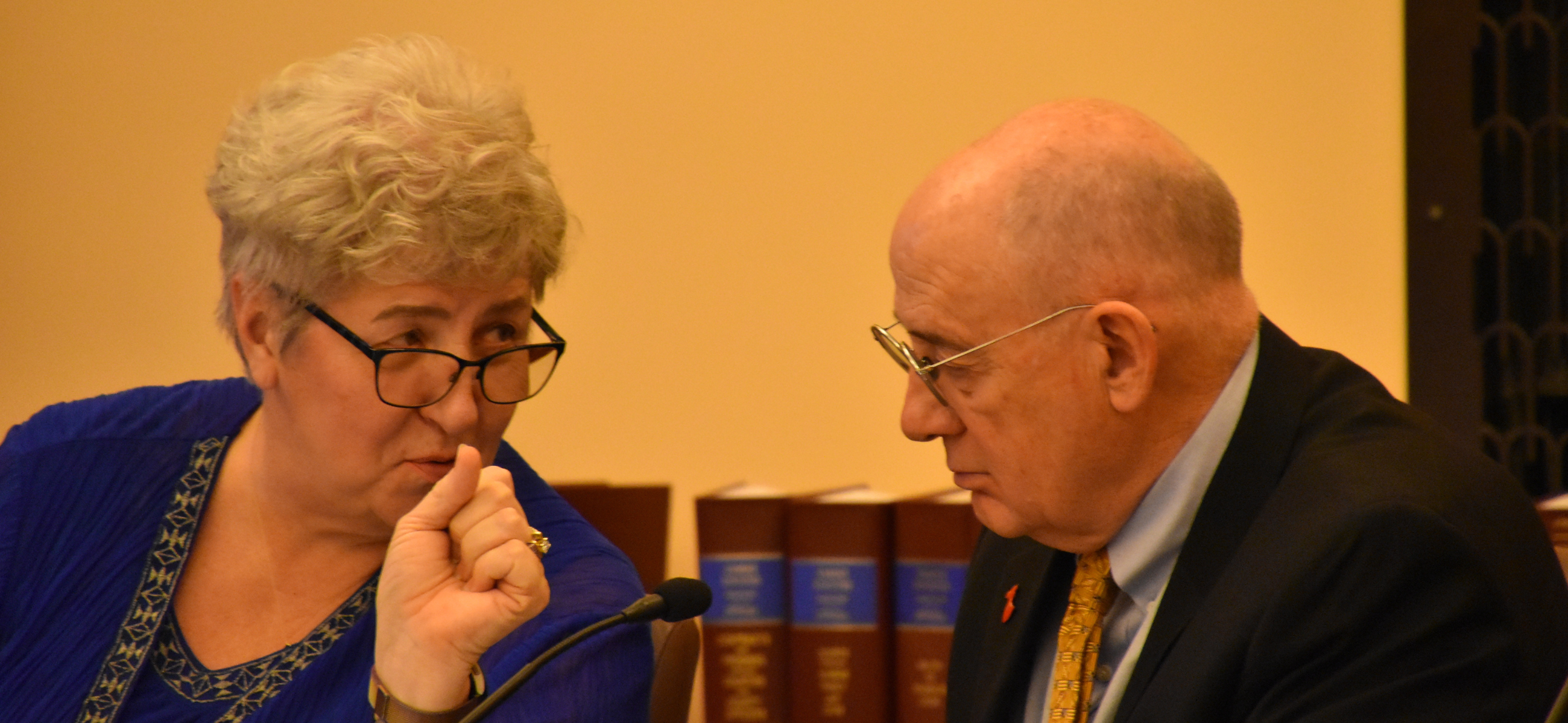 Reps. Brenda Landwehr and John Eplee talk Feb. 12, 2024, at a House Health and Human Services Committee hearing.