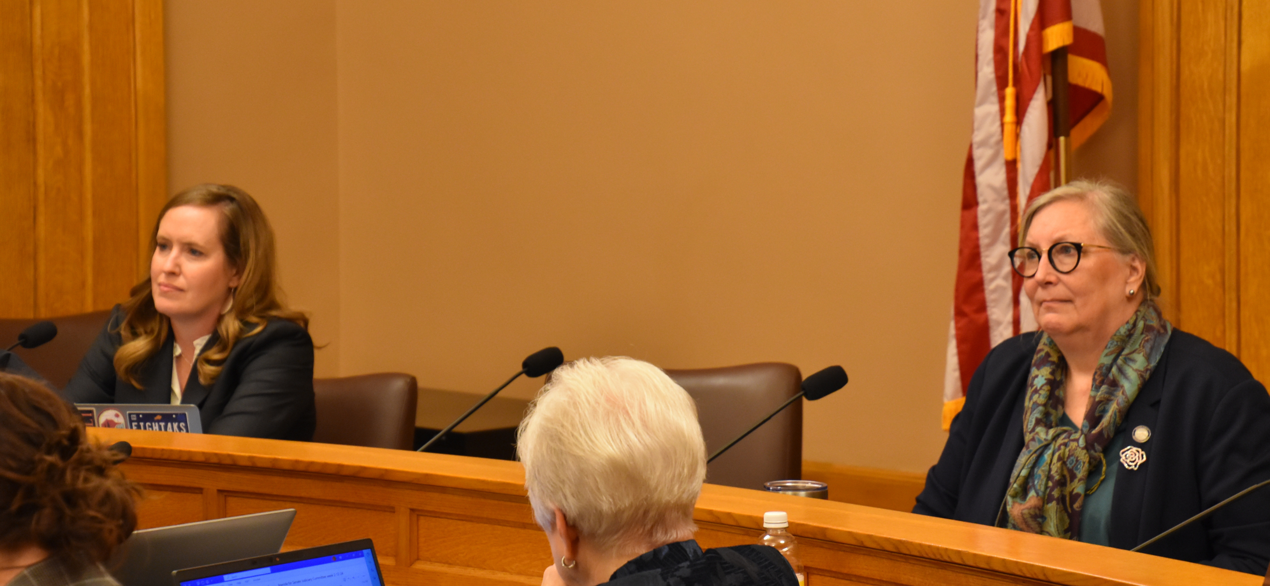 Senate Minority Leader Dinah Sykes and Sen. Molly Baumgardner listen to testimony Feb. 7, 2024, during a meeting of the Senate Education Committee.