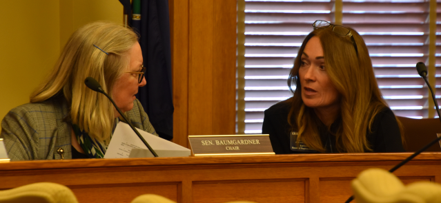 Sen. Molly Baumgardner and Rep. Kristey Williams discuss matters April 5, 2024, before a conference committee meeting.