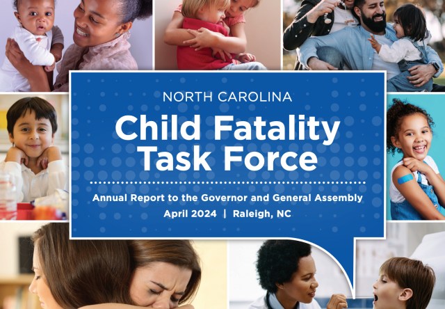 Child Fatality Task Force to convene in anticipation of 2025 General Assembly recommendations